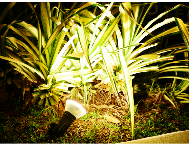 Iluminação de jardins .... Luz verde NÃO!!!!